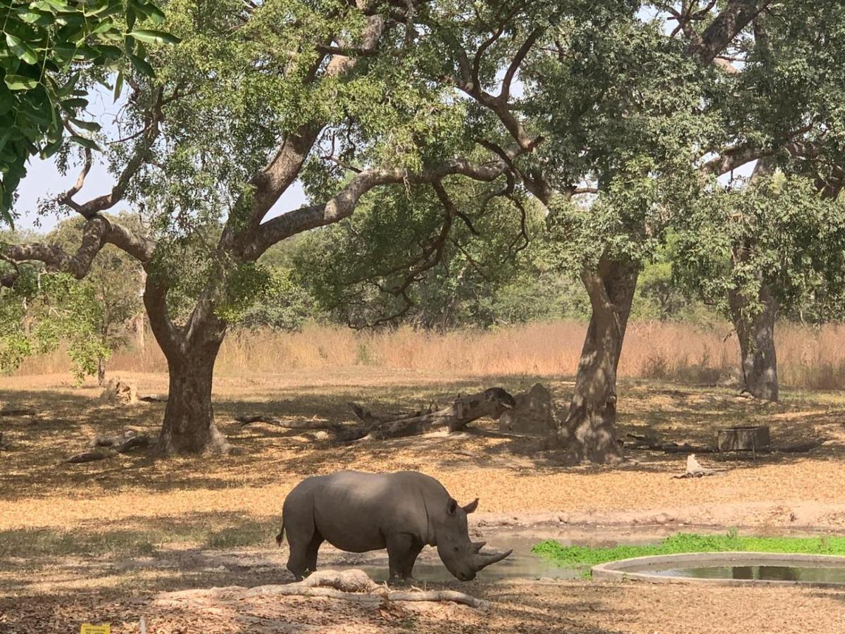 Pombo Kunda Villa Sanyang Exteriör bild